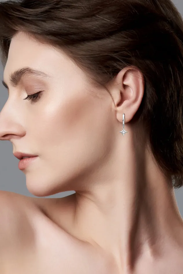 Earrings Moissanite Star Drop Earrings Trendsi