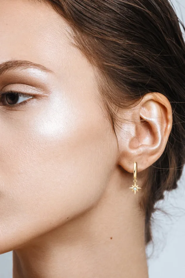 Earrings Moissanite Star Drop Earrings Trendsi
