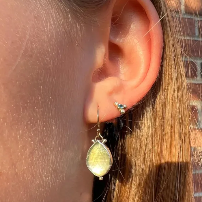 Earrings Emily Amey Jewelry 14k Prehnite Abalone earrings