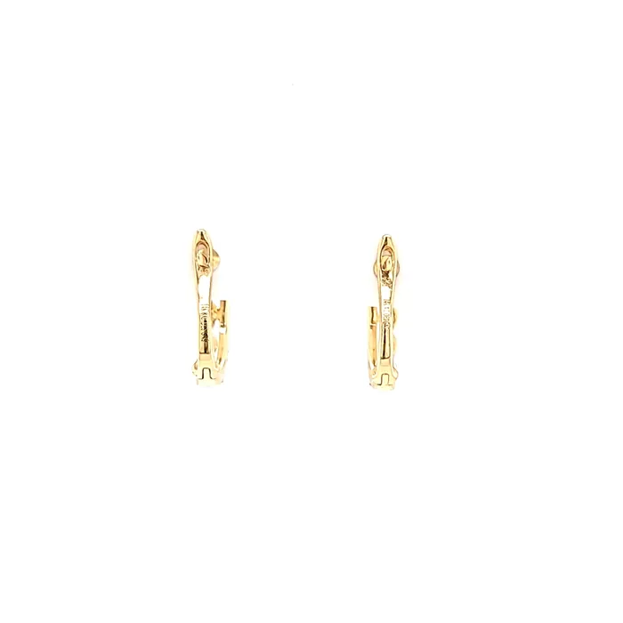 KC Designs Earrings 14k Yellow Gold Diamond Double Row Hoop Earrings I5529